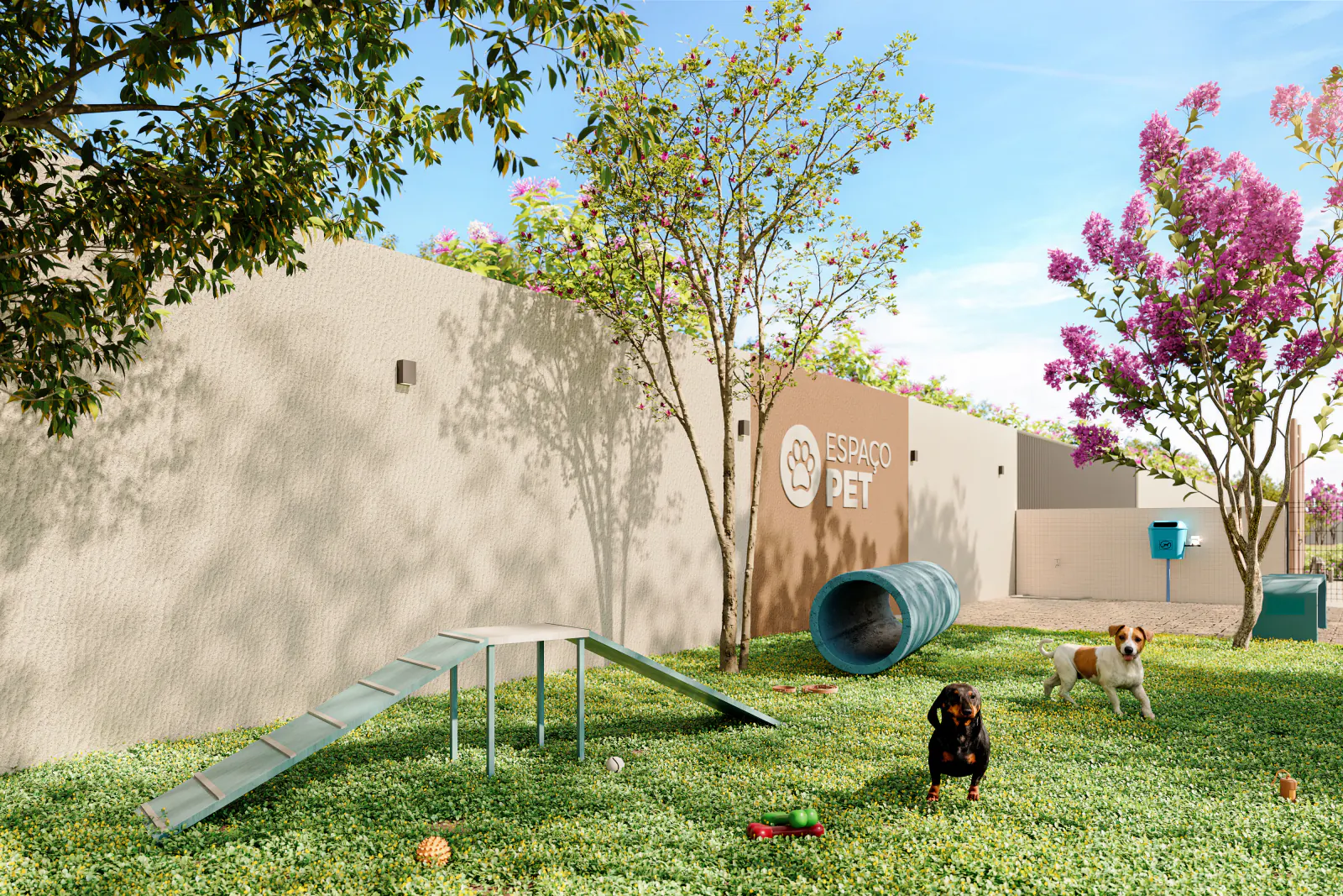 Espaço pet com cachorros brincando e circuito de agility